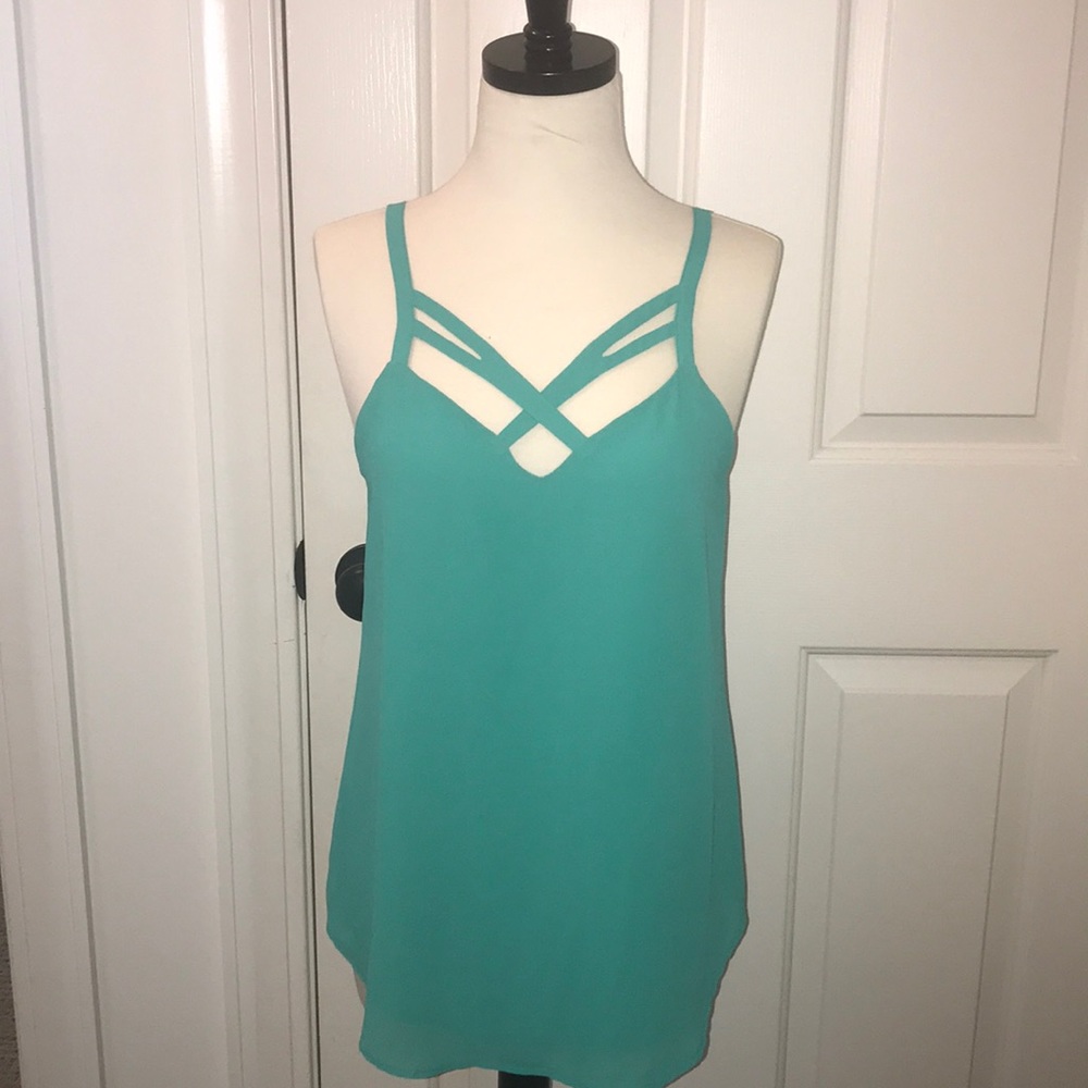 Naked Zebra Small Teal Tank